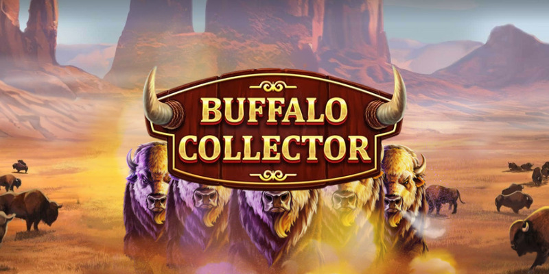 Buffalo Collector (Red Tiger Gaming) Slot Review